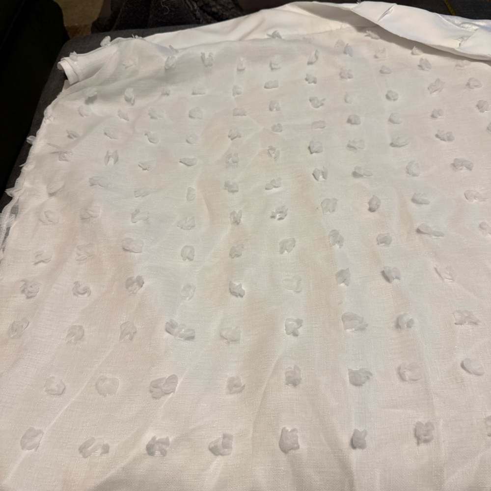 Curtain Panels (4)